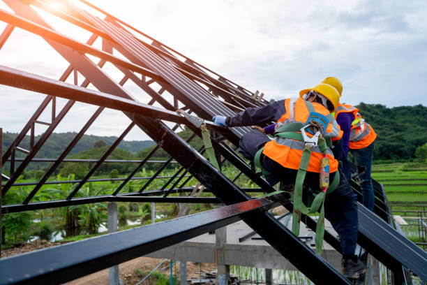 Best Roof Maintenance Services  in Monroe, MI