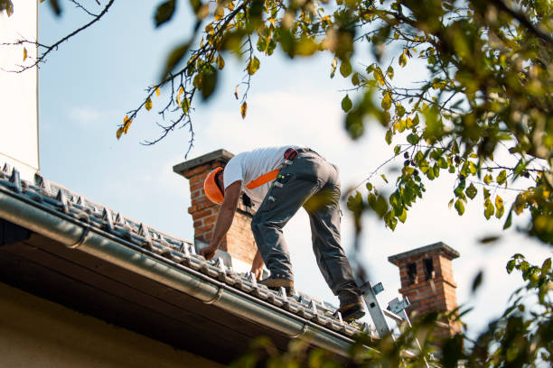 Best Roof Waterproofing Services  in Monroe, MI