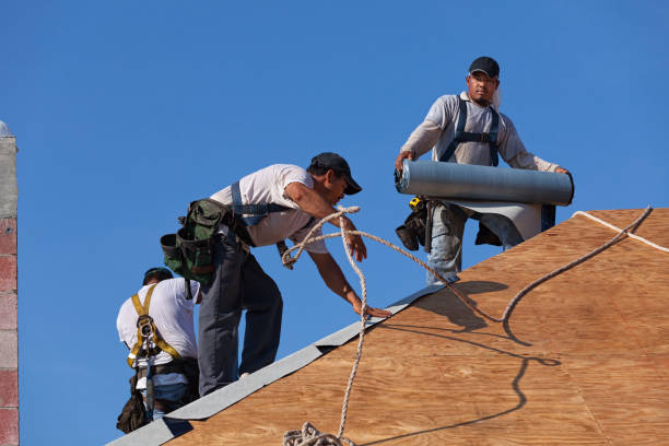 Best Tile Roofing Contractor  in Monroe, MI