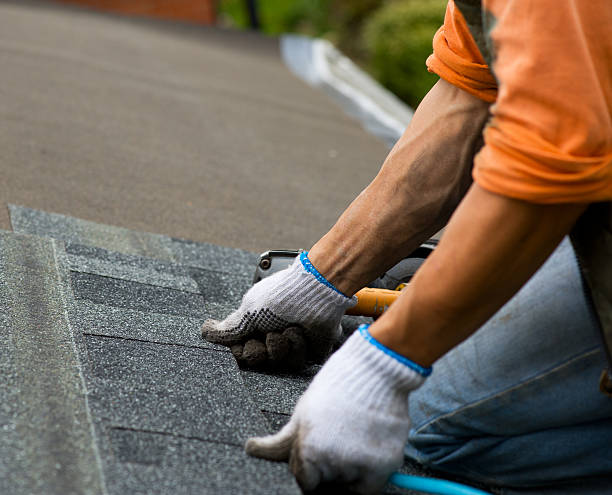Best Roof Repair Services  in Monroe, MI