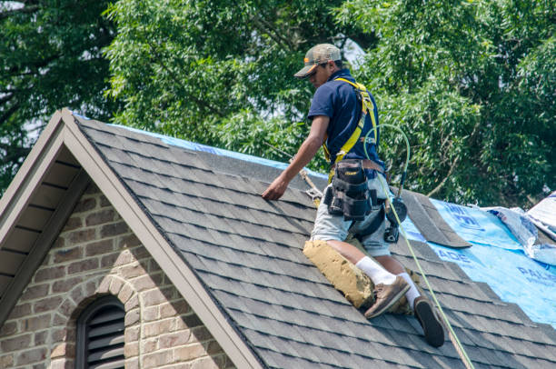 Best Roof Inspection Near Me  in Monroe, MI